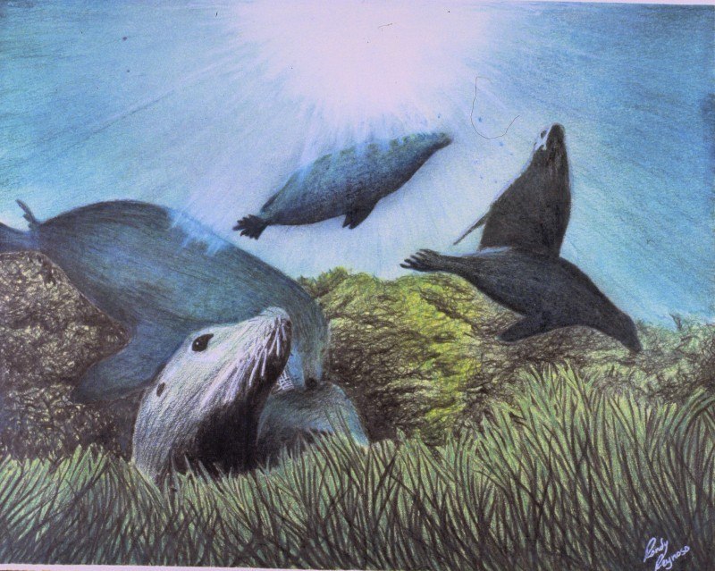 Drawing made by Rondall Reynoso in high school.