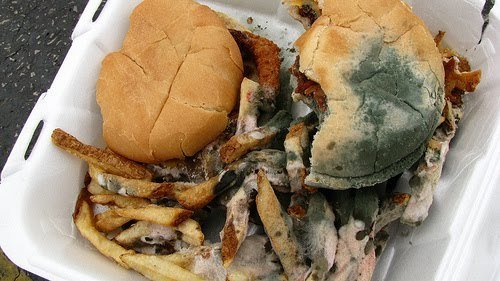 Moldy hamburger and french fries