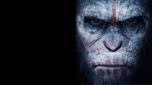 Dawn of the Planet of the Apes: Guns don't kill people, apes do. Caesar the ape looking intensely at the viewer.