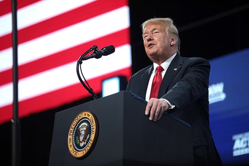 Eyeing possible re-election, Trump suggests insurrection pardons 800px-Donald_Trump_(50042858016)