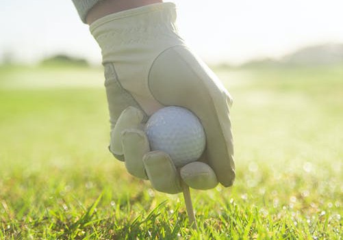 pexels-photo-6542389