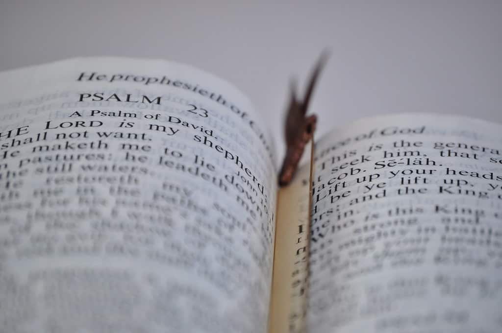 24289669569_1f8114cedf_b