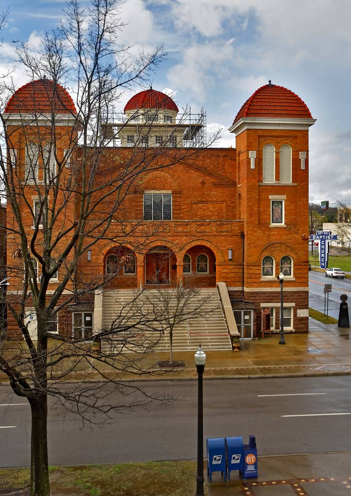 46955001274_15a1cacd2a_b