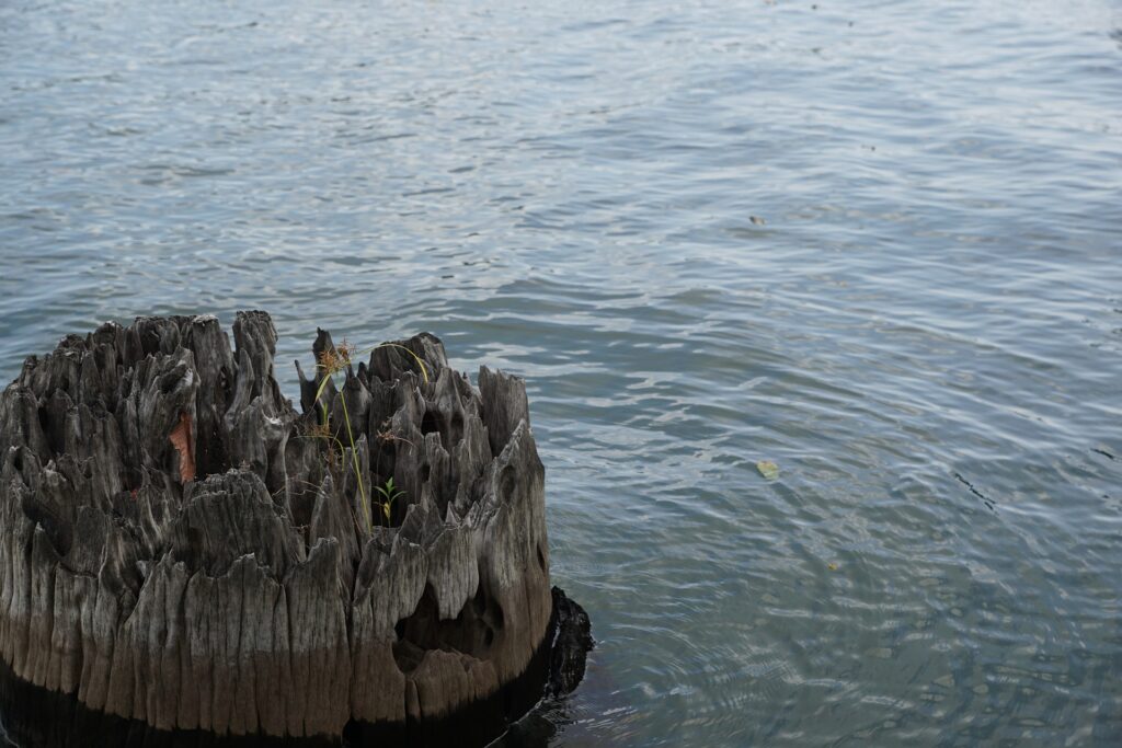 Johannesburg flash flood kills 14 church members