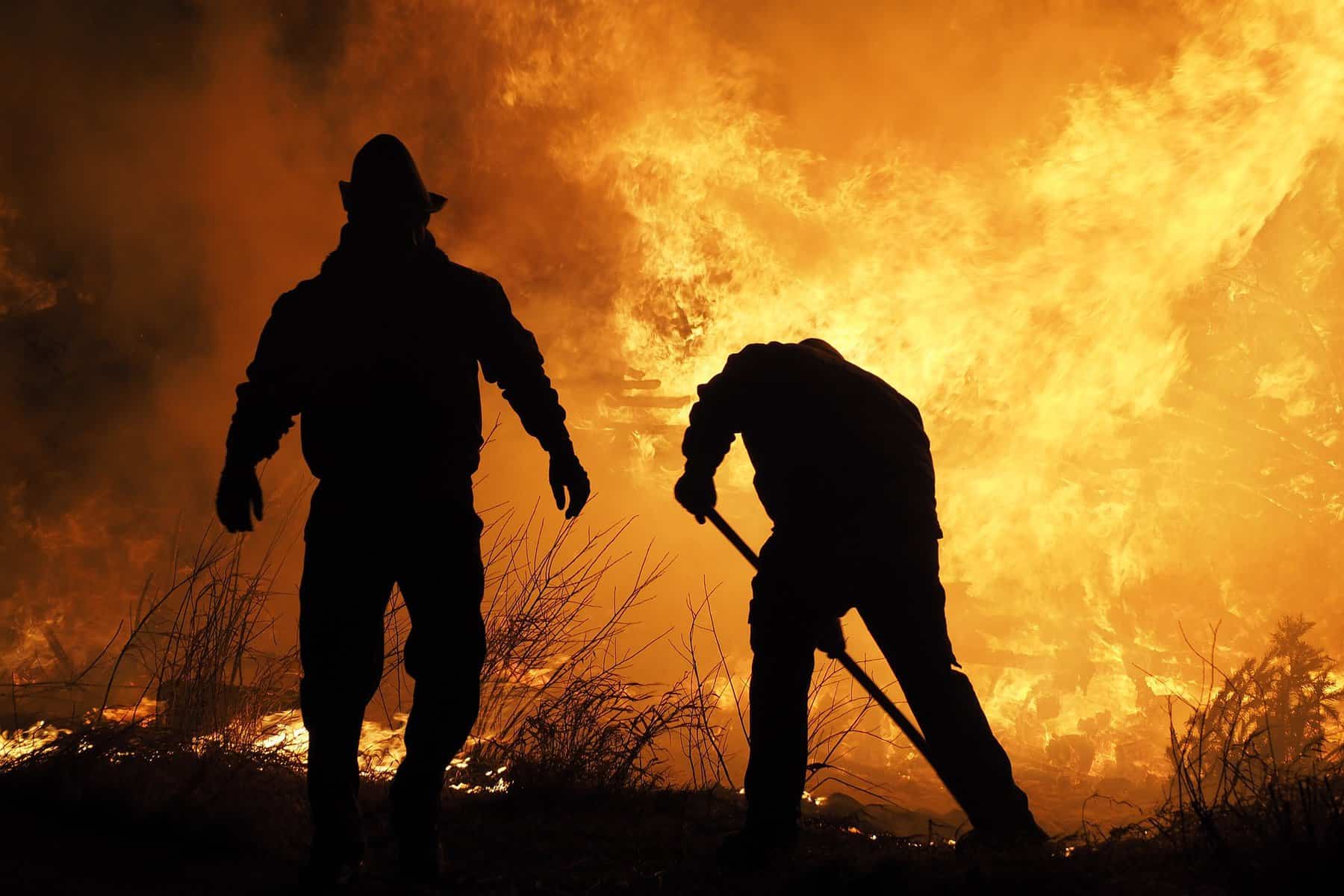 The silhouettes of 2 firefighters working a fire line are shown with flames as the background.