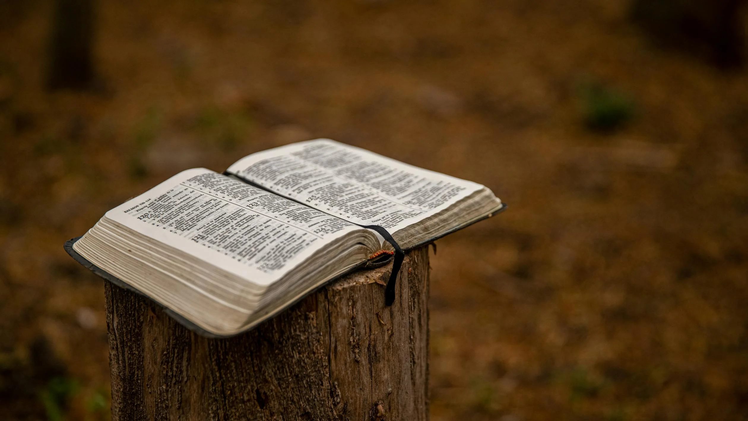 Bible on a post