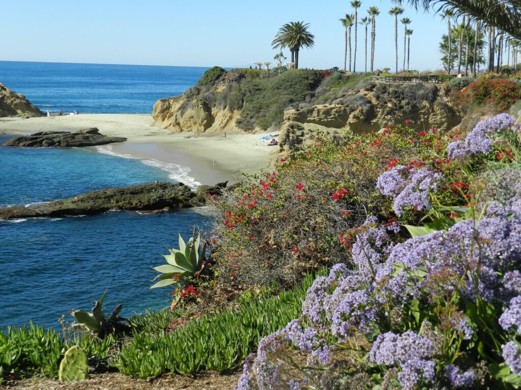 Drought-resistant church gardens in California conserve water, foster community connection A photo of the ocean shore with palm trees and plants for an arid area is shown.