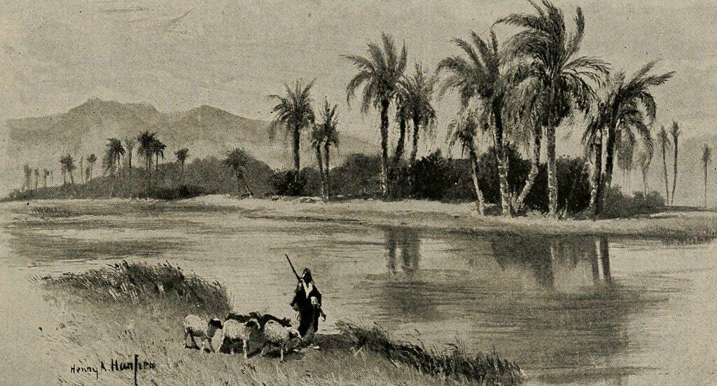 Shepherd