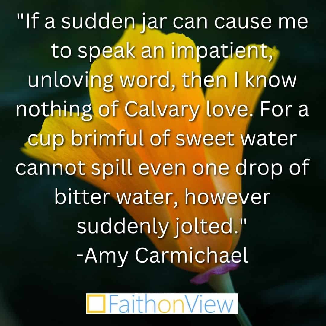 6_Carmichael 1 Amy Carmichael