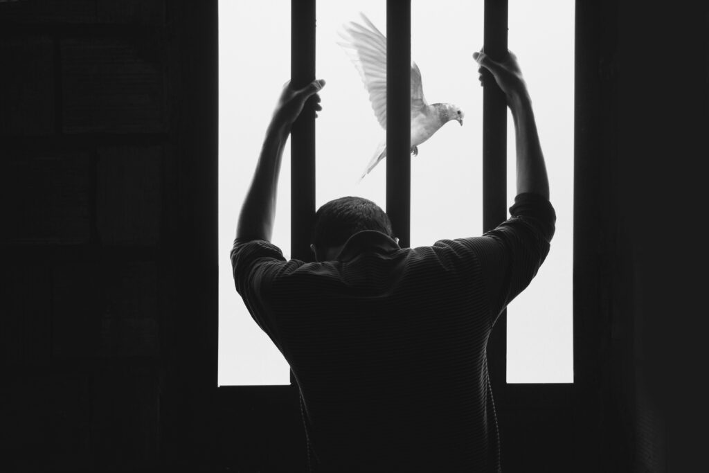 Religious argument turns deadly: Camden man gets 30 years for murder Man holding bars with white bird in background.