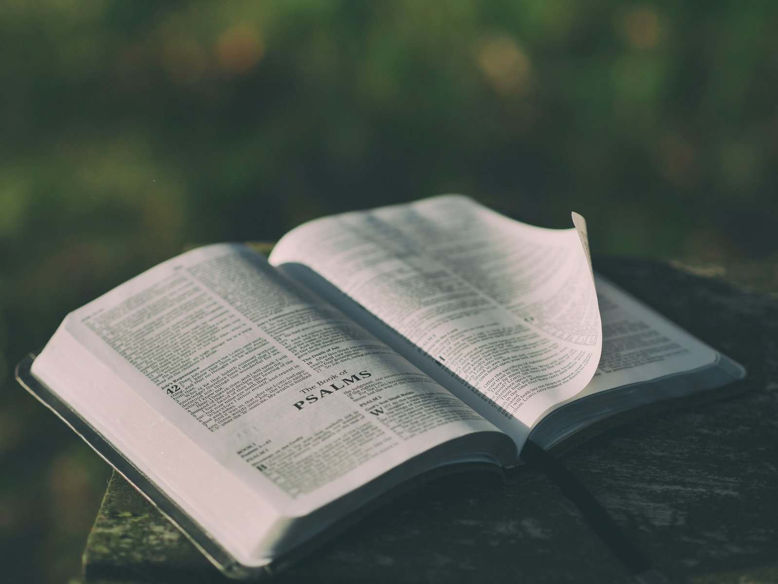 A Bible outside, and open to the book of Psalms.