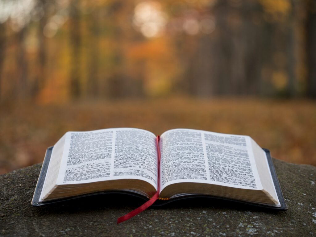 Precept Ministries mourns loss of co-founder Kay Arthur at 91 A Bible lays open on a boulder in a forest in fall.