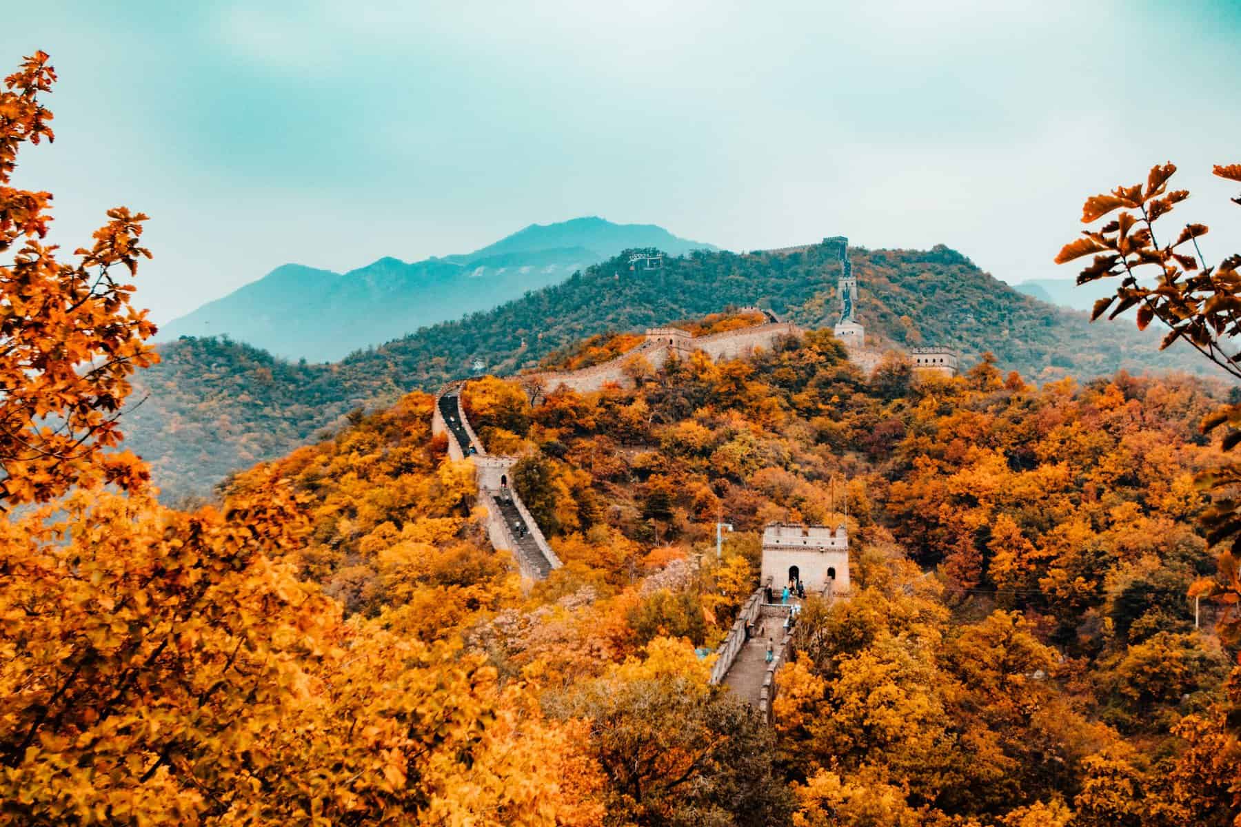 The great wall of China in the fall.