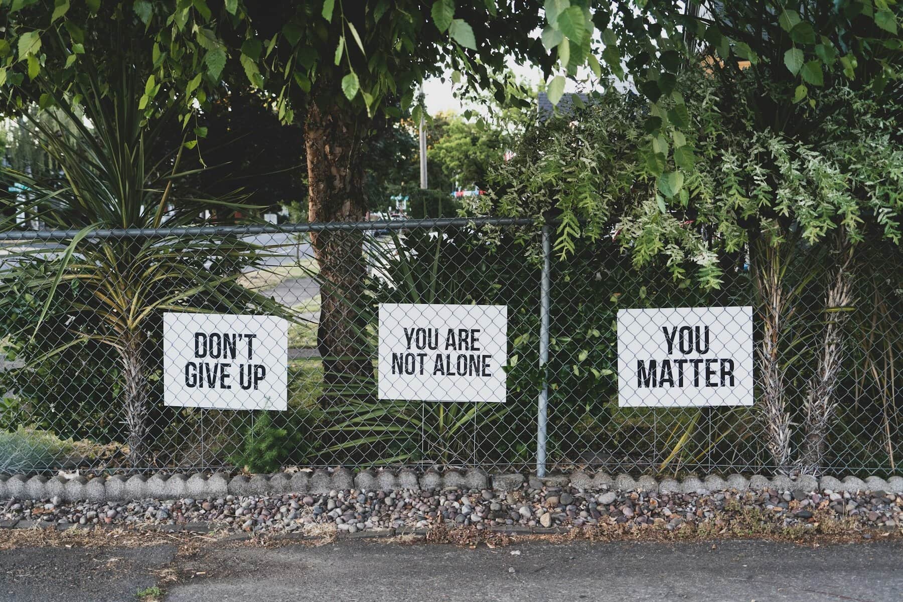 Signs on a chain link fence.
