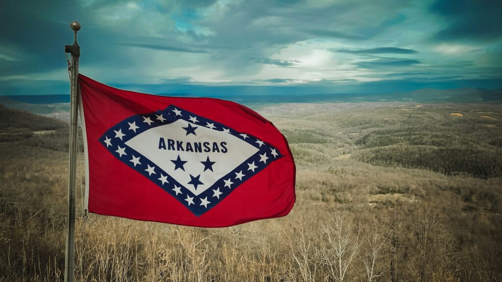An Arkansas flag in a field.