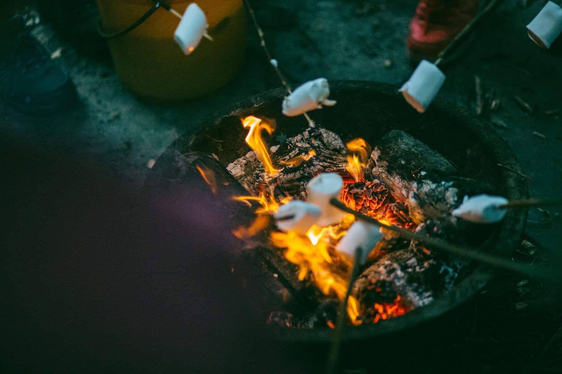 Marshmallows being roasted over a campfire.