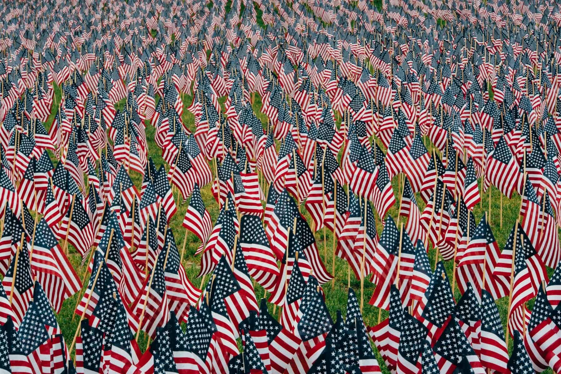 Many small US flags stuck in the grass.