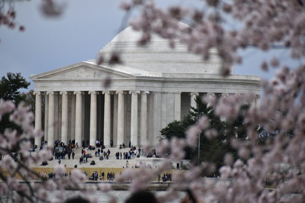 Jefferson Memorial, Washington DC seen framed by cherry blossoms.