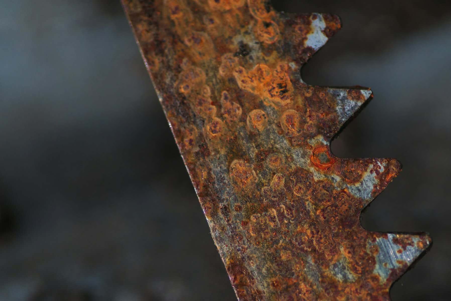 A rusted serrated saw blade