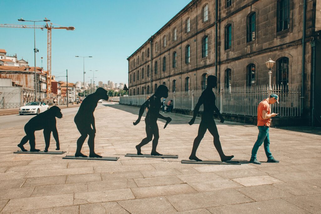 Sculptures of evolution- ape to man.