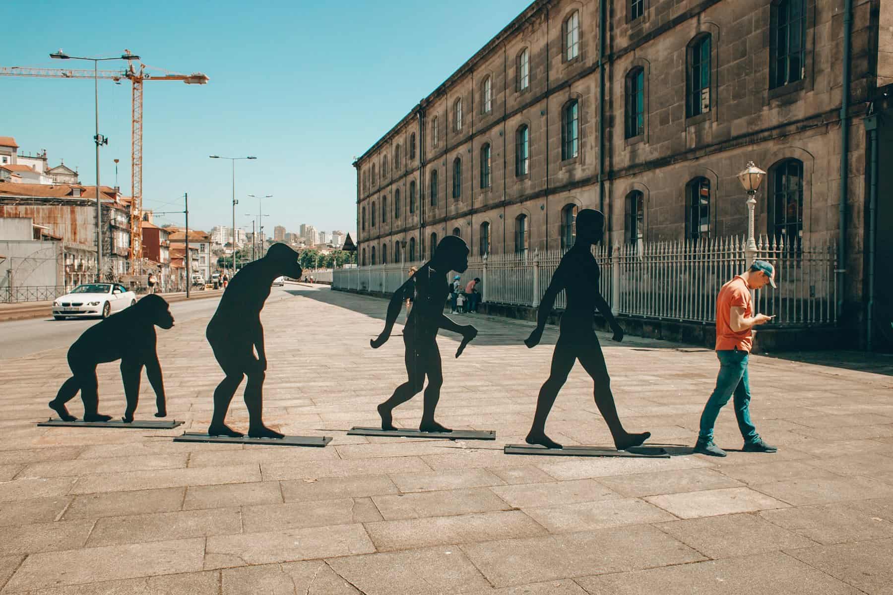 Sculptures of evolution- ape to man.