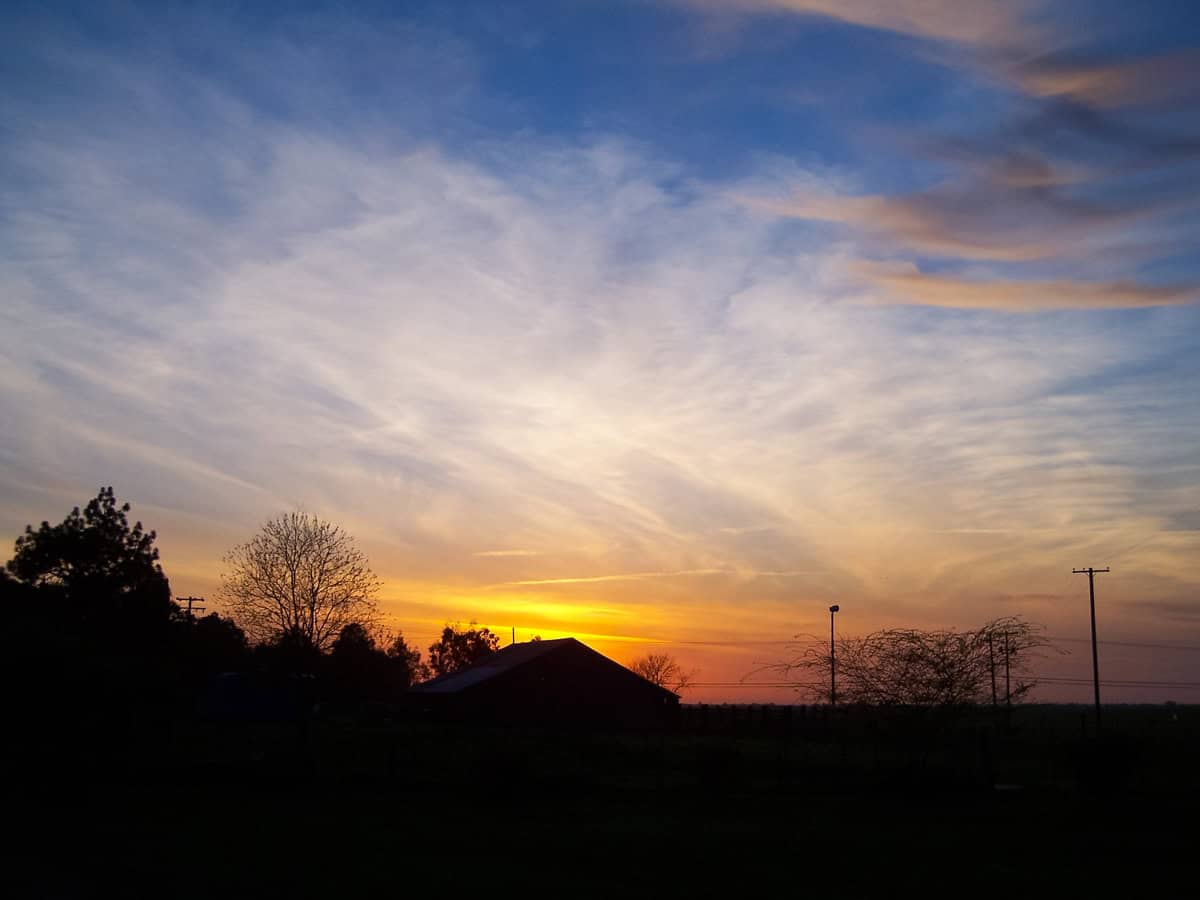 Sunset sky illuminating a peaceful countryside scene with trees and power poles, one with a nuclear warning siren.