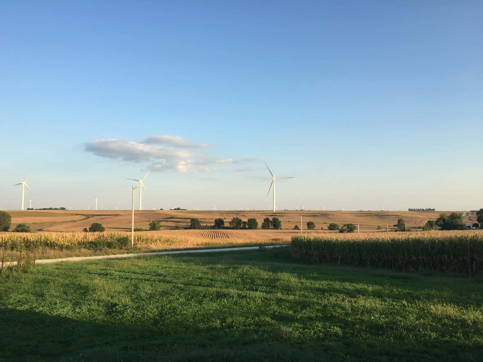 A view of plains with corn fields and wind turbines.
