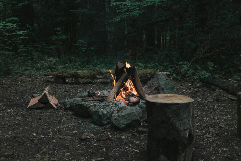 A campfire in a dark setting.