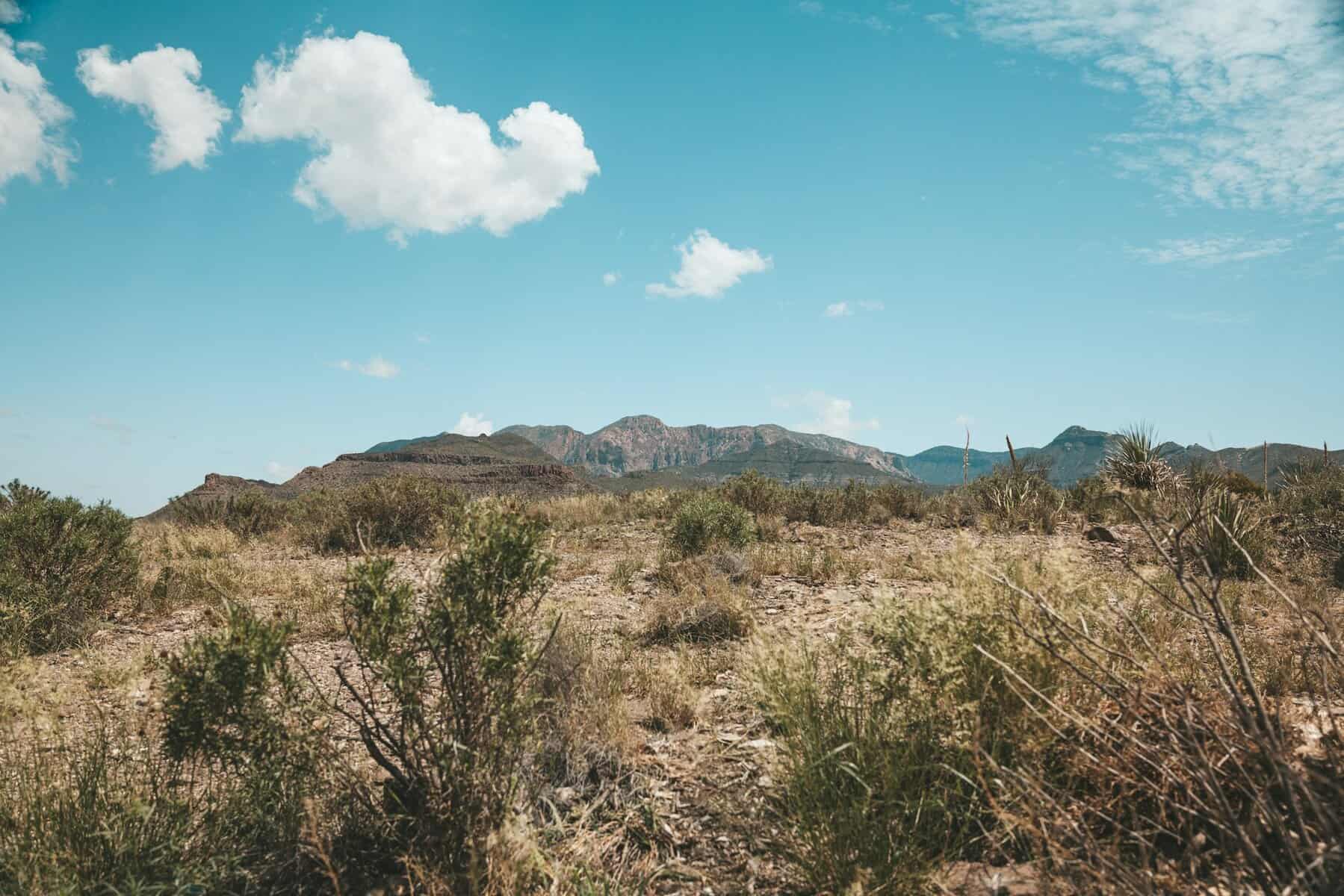 A landscape scene in Texas with scrubland in the foreground and mountains in the background.