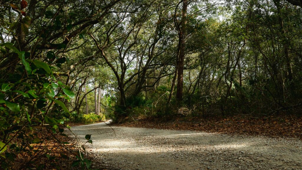 Alabama man charged after threats to religious leaders A wooded path in Alabama.