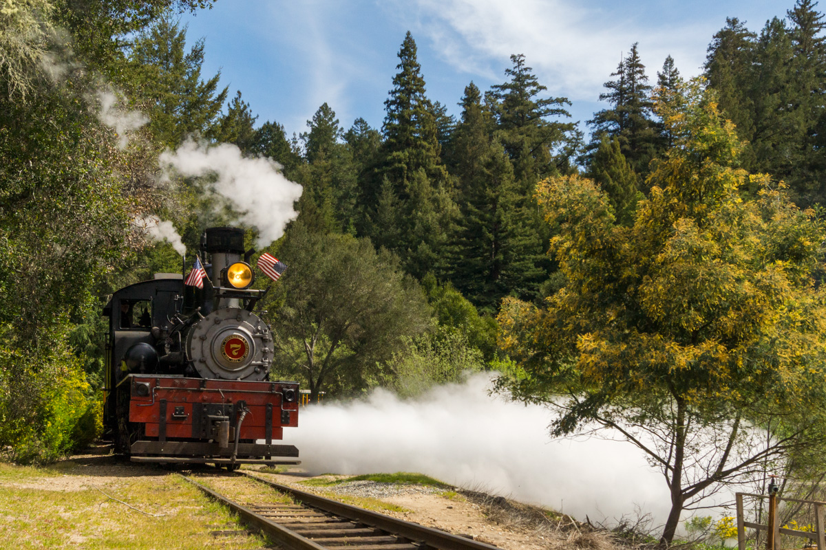 A steam locomotive travelling down a track.