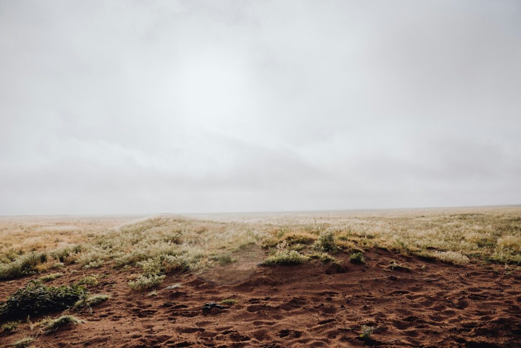 Zorro/San Rafael Ranch Christian retreat plan ignites fierce new backlash Scrub land like in the American southwest with animal hoof prints in the foreground dirt.