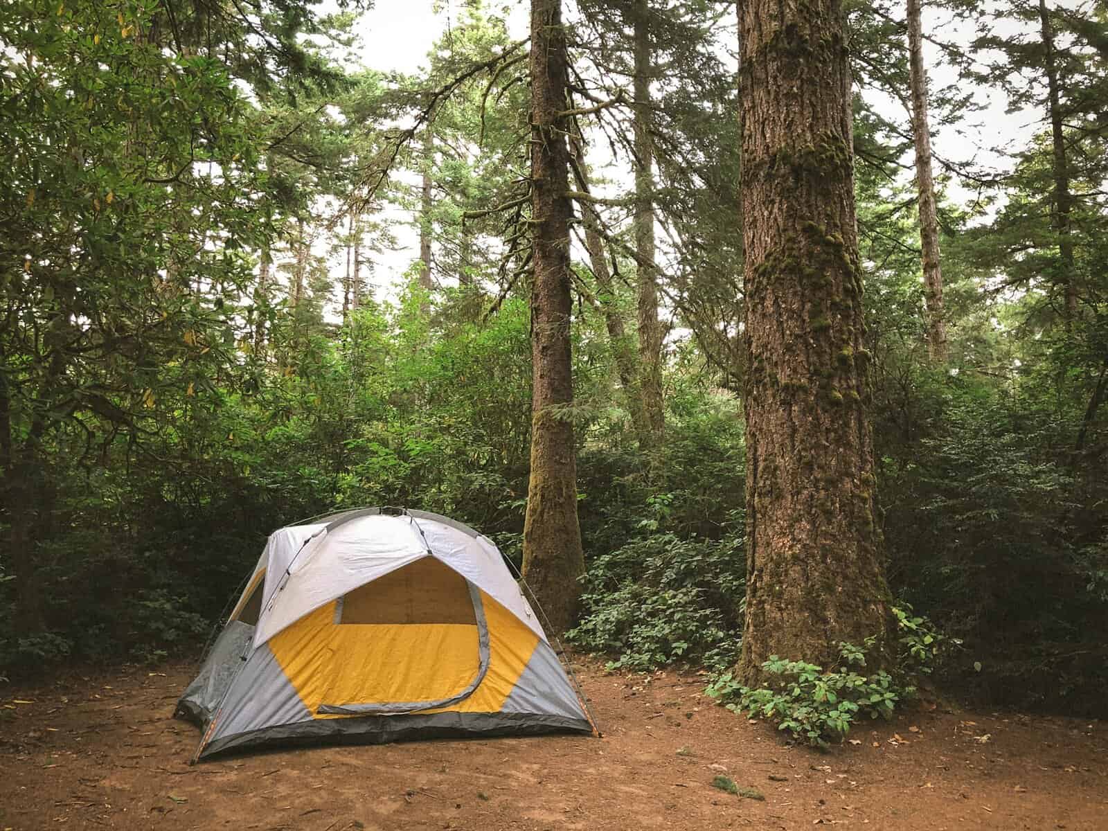 A yellow tent in a forest clearing.
